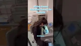 Deli slicer but for flesh