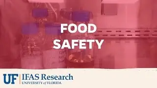 UF/IFAS Research | Food Safety