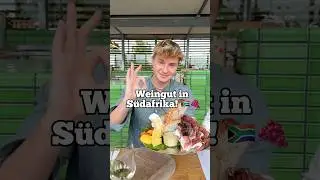 Das kostet ein Weingut Besuch in S&uuml;dafrika! 🍇🇿🇦 (Anzeige)