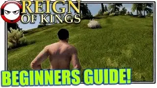Reign of Kings Beginners Guide (Tutorial)
