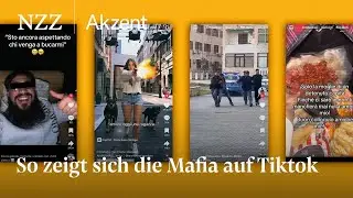 Luxus, Gef&auml;ngnis und Fresspakete: Wie sich die Mafia auf Tiktok zeigt | NZZ Akzent