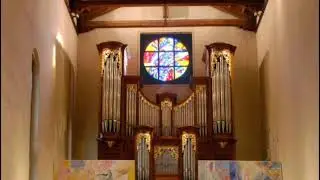 Nicola Dolci (organo) Buxtehude, Eben, Bach