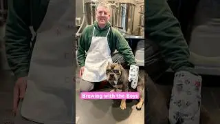 Brewing with the Boys #dogs #homebrewer #brewery #dogdads #boysday #brewday #rescuedog
