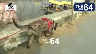 J&K police tightens security with sniffer dogs, search operations ahead of Republic Day