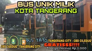 Bus TAYO (Trans Tangerang) milik Kota Tangerang GRATIS!!! | CBD Ciledug - Tangcity Mall (Koridor 3)