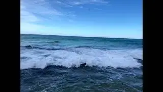 Sydney waves
