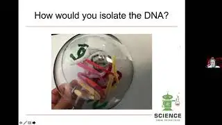 Extract Your Own DNA!