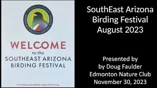 Southeast Arizona Birding Festival