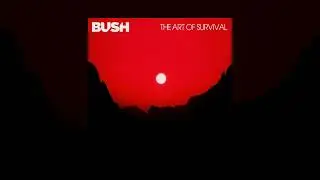 Bush - Slow Me [Custom Instrumental]