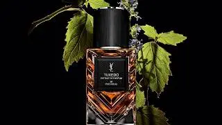 TUXEDO Les Extraits de Parfum l New Le Vestiaire des Parfums