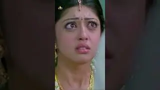 Samrat Reddy Rude Behaviour with Pranitha | #Baava | #shorts | #youtubeshorts | #sribalajivideo