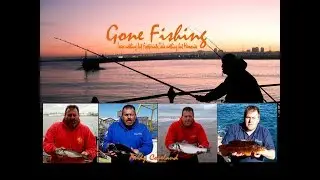 Light Bait Fishing on Amlwch and Ravens Point, Anglesey