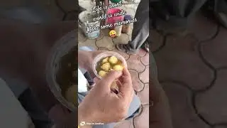 Gwalior Diaries 🤩#shortvideo #reels #trending #shorts #instagram #video #viral #short #love