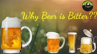 Why Beer is Bitter? ||Why do we use Hops in Beer||