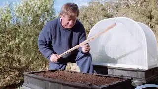 Vegepod Seed Packs - Lettuce
