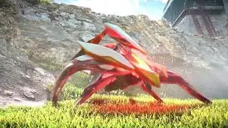 HzFW