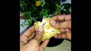 5 Minutes Healthy Pizza Pockets Tiffin Recipes | Healthy Breakfast ldeas #shorts
