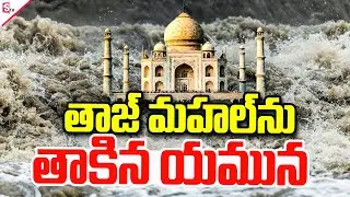 తాజ్ మహల్ ను తాకిన యమున | Rising Yamuna Flood Water Reaches Taj Mahal | Agra