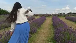 #lavender Mayfield Lavender Farm July 2024. London Summer Time Lavender Flower Garden & Picnic.