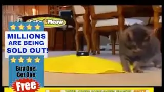 As Seen On Tv Products ! Cats Meow Toy! Buy 1 Get 1 FREE!
