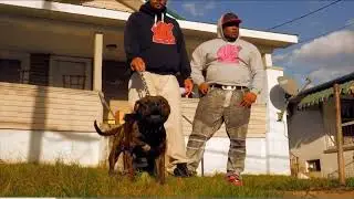 5 West Virginia Rappers You Never Heard Of | West Virginia Music Video