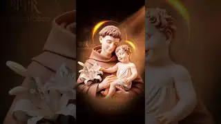 Saint Anthony, Our Gentle Guide