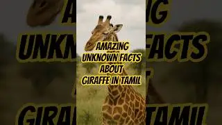 நெடுங்கழுத்து விலங்கின் அதிசயங்கள் 🦒 | Amazing Unknown Facts About Giraffe in Tamil #tamil #animal