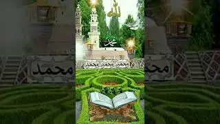 Rahmatu ka payam#madina