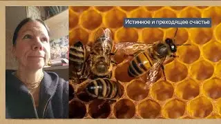 ШБ 4.24.64 