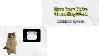 How Does Noise Cancelling Work? Explained by Cats