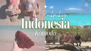 Indonesia | Komodo Islands, Pink Beach and incredible snorkelling!!