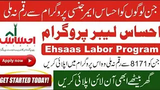 How to apply for Ehsaas Labour Program | Chota karobar Online Registration Form