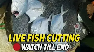 Fresh Pomfret Fish Cleaning ASMR | Fast & Satisfying Skills 😱 #pomfretfish #cuttingasmr #asmr 