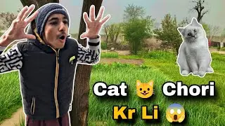 Cat 🐈 Chori kr li😱.||| HUM bhag gye 😮..