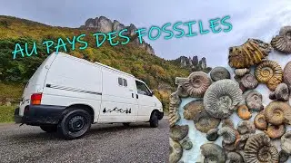 De magnifiques ammonites pour notre premier arrêt du road trip de la Toussaint!!