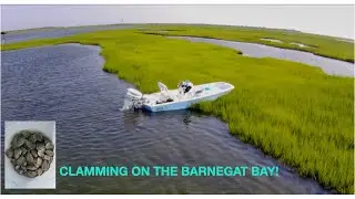 Clamming in the Barnegat Bay!!