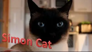 Simon the Siamese cat 2