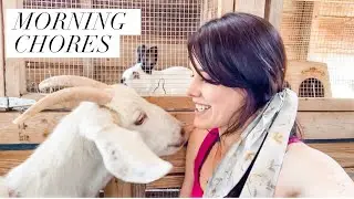 Morning Chores | Family Homestead