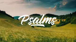 Confidence in the Face of Fear | Psalm 27