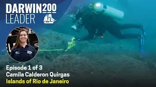 Turtle City: Hope in Cagarras Islands of Rio de Janeiro - by Camila Calderon Quirgas   Episode 1