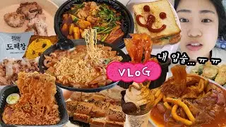 ???: 보통 입수술하면 잘 안먹지 않냐?🤔 응 아니야~ 보상심리만 생길뿐😏  이모카세 노포맛집, 도래창, 불닭볶음면, 곱도리탕, 도로시멍찌 당면볶이, 테디뵈르 먹방 브이로그