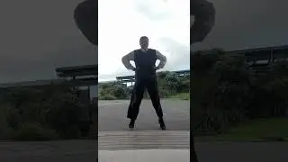 Mau rakau