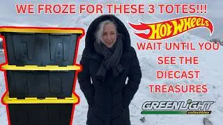 FREEZING in Toledo for a Hot Wheels Haul?! Our CRAZIEST Pickup Yet!