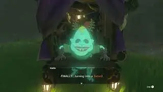 Giving all 147 Bubbul Gems to Koltin (Tears of the Kingdom)