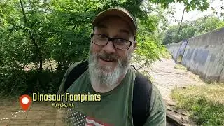 Uncovering Jurassic Clues: The Quest for Dinosaur Footprints
