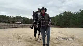 Practical Adult Beginner Riding Lessons: Lesson 1 #horse #bucketlist #equestrianjourney #horseriding