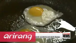 Study shows eggs help lessen risk of certain health conditions