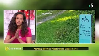 Marais poitevin : l'esprit de la Venise verte - La Quotidienne
