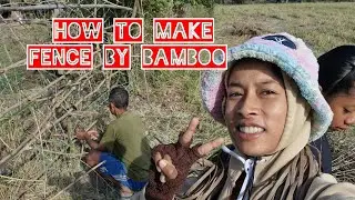 របៀប​ធ្វើ​របង​ឬស្សី​|How to make fence by bamboo | My day action will father | Animal TK 