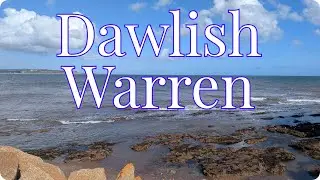 Dawlish Warren - Sept 2025